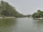 NGT was hearing a plea on the preservation and water bodies in Delhi. (HT archive)