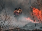 Firefighters are combating the vegetation fire in Newark. Image for representational purposes. 