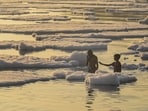 The report added that the board was not testing faecal coliform bacteria levels in effluents from existing STPs to aid the Yamuna clean-up. The report added that the board was not testing faecal coliform bacteria levels in effluents from existing STPs to aid the Yamuna clean-up.