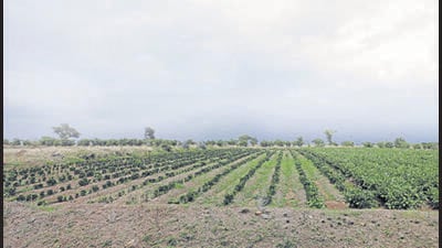 MIDC has submitted proposal seeking forest clearance for the upcoming Purandar International Airport near Pune, shared BJP MLA Mahesh Landge in post on X. ((PIC FOR REPRESENTATION)) MIDC has submitted proposal seeking forest clearance for the upcoming Purandar International Airport near Pune, shared BJP MLA Mahesh Landge in post on X. ((PIC FOR REPRESENTATION))