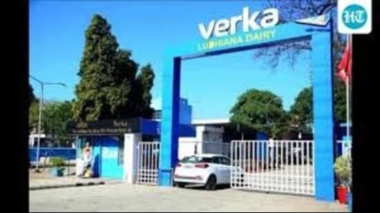 According to official communication, nearly 125 metric tonnes of milk powder, dispatched from the Verka Milk Plant in Ludhiana, failed to meet the prescribed standards.