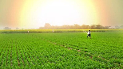 ప్రతీకాత్మక చిత్రం ప్రతీకాత్మక చిత్రం