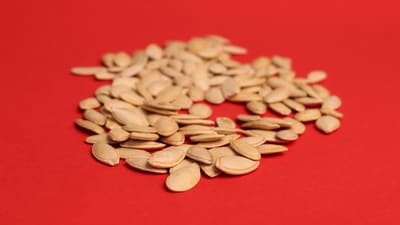 Read more to find out the best seeds for each phase in the menstrual cycle! (Unsplash) Read more to find out the best seeds for each phase in the menstrual cycle! (Unsplash)