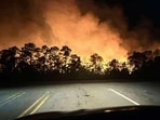 Brush fire in Brunswick County, North Carolina.