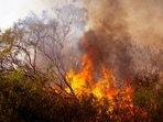 An alert was sent for a brush fire in Alsip, Illinois as people wondered what was burning. Image for representational purposes. 