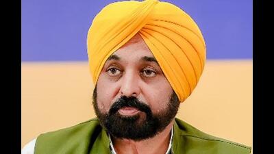 The decision was taken at a meeting of the council of ministers chaired by Punjab chief minister Bhagwant Mann on Sunday. (HT File) The decision was taken at a meeting of the council of ministers chaired by Punjab chief minister Bhagwant Mann on Sunday. (HT File)