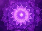 Ketu transit in Magha Nakshatra 2026: What it means for your zodiac sign
