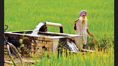 Currently, 56 blocks in Punjab fall in the ‘orange’ category while 55 are ‘yellow’ and 42 ‘green’. Jalandhar is the worst-hit district, with 10 of its total 11 blocks falling in the orange category. (HT File) Currently, 56 blocks in Punjab fall in the ‘orange’ category while 55 are ‘yellow’ and 42 ‘green’. Jalandhar is the worst-hit district, with 10 of its total 11 blocks falling in the orange category. (HT File)
