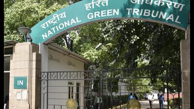 The tribunal, on April 19, 2024, had directed DDA and DPCC to implement suggestions by a joint committee aimed at addressing unauthorised dairy activities in the floodplain area. (Hindustan Times) The tribunal, on April 19, 2024, had directed DDA and DPCC to implement suggestions by a joint committee aimed at addressing unauthorised dairy activities in the floodplain area. (Hindustan Times)
