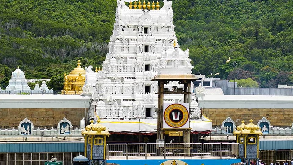 <p>రెండవరోజు మార్చి 31న శ్రీ భూ సమేత శ్రీ మలయప్పస్వామివారు ఉదయం 8 నుండి 10 గంటల వరకు బంగారు రథాన్ని అధిరోహించి తిరుమాడ వీధులలో ఊరేగుతారు. అనంతరం వసంత మండపంలో అర్చకులు వసంతోత్సవాన్ని నిర్వహిస్తారు.</p>