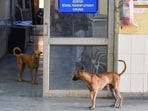 (Representative image) Firm began operations in January despite lacking approval, with application for recognition filed in February. (HT)
