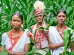 CAG audit exposes gaps in Odisha tribal schemes (Getty/ Representative photo) CAG audit exposes gaps in Odisha tribal schemes (Getty/ Representative photo)