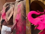 Jaipur ‘pink’ elephant owner clarified colours were washed off quickly amid controversy over viral shoot.