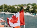 Why is an increasing number of Americans seeking Canadian citizenship? Explained