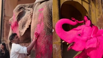 Jaipur ‘pink’ elephant owner clarified colours were washed off quickly amid controversy over viral shoot. (Instagram/@julia.buruleva) Jaipur ‘pink’ elephant owner clarified colours were washed off quickly amid controversy over viral shoot. (Instagram/@julia.buruleva)