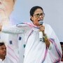 মুখ্যমন্ত্রী মমতা বন্দ্যোপাধ্যায়। (ফাইল ছবি, সৌজন্যে পিটিআই)