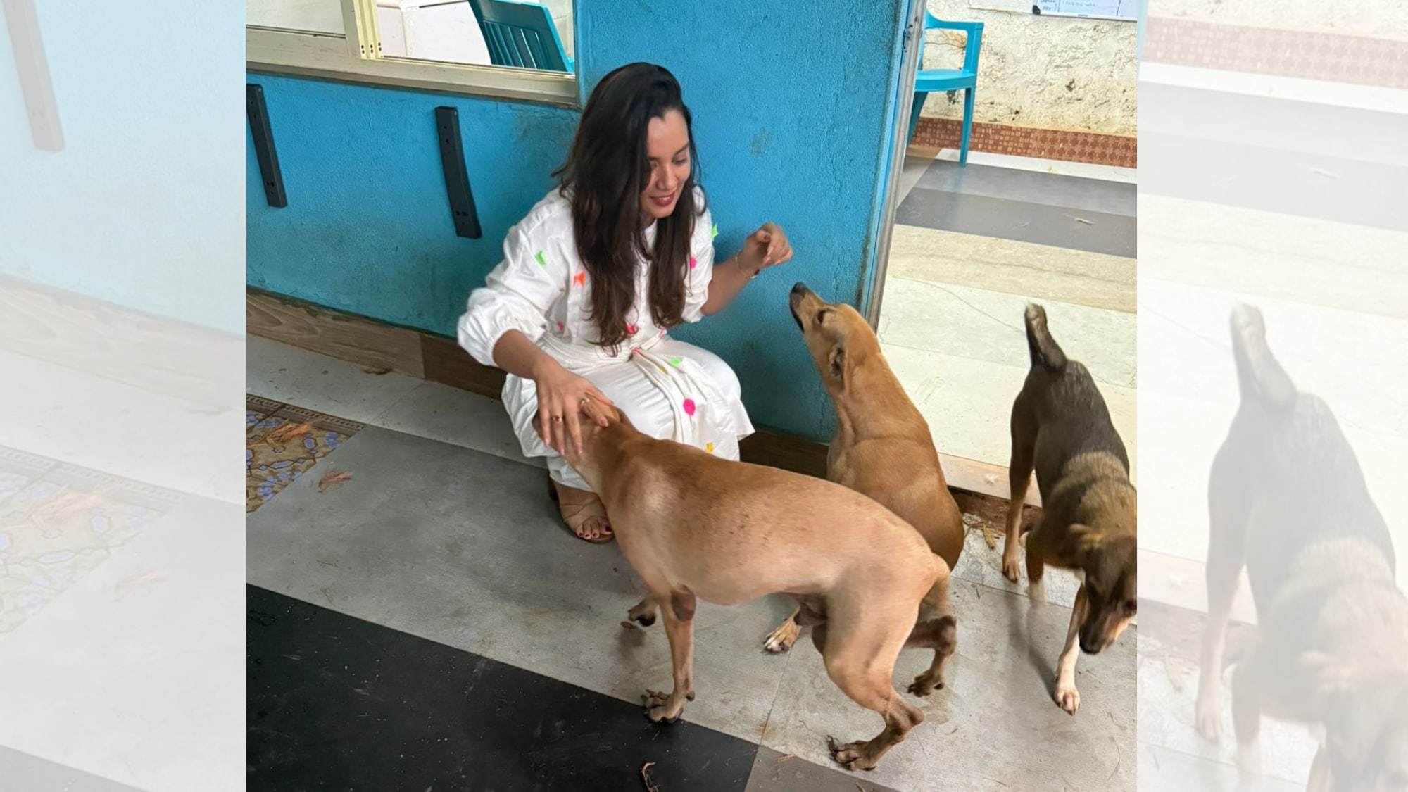 Shruti Chaturvedi volunteers at Angels for Animals, an NGO in Goa Shruti Chaturvedi volunteers at Angels for Animals, an NGO in Goa