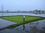 If El Niño effects intensify and rainfall proves deficient — a clearer picture will emerge closer to June — pulses and rice yields could get affected, depressing farm income and pushing up food inflation (AFP)