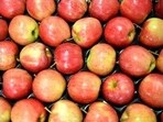 Jammu and Kashmir has witnessed a 3.4% increase in apple production in the past three years while the export of the fruit out of the union territory has recorded a drop of 26% in the same period, official data has revealed. (HT File)