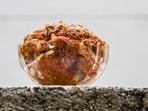 Khas Khas Ka Halwa