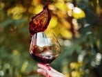 A glass of red wine is not actually beneficial to health, shares Dr Vass. A glass of red wine is not actually beneficial to health, shares Dr Vass.