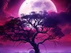 April Full Moon 2026: Numerology predictions with simple tips
April Full Moon 2026: Numerology predictions with simple tips
