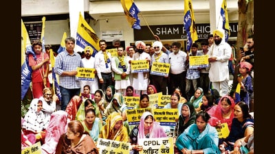 AAP workers protesting outside the CPDL office in Sector 34, Chandigarh, on Wednesday. (HT Photo) AAP workers protesting outside the CPDL office in Sector 34, Chandigarh, on Wednesday. (HT Photo)