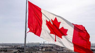 Recent social media posts by Immigration, Refugees and Citizenship Canada (IRCC) targeted both applicants and immigration agents. (REUTERS) Recent social media posts by Immigration, Refugees and Citizenship Canada (IRCC) targeted both applicants and immigration agents. (REUTERS)
