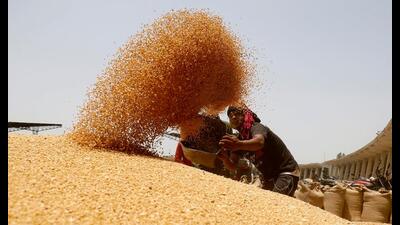 Wheat procurement in Punjab began on Wednesday on a troubled note as arhtiyas (commission agents), who play a central role in mandi operations, went on strike over a set of unresolved demands, raising concerns over disruptions in the procurement process. Wheat procurement in Punjab began on Wednesday on a troubled note as arhtiyas (commission agents), who play a central role in mandi operations, went on strike over a set of unresolved demands, raising concerns over disruptions in the procurement process.