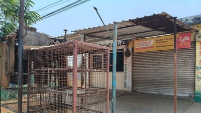 చికెన్ షాపులు బంద్