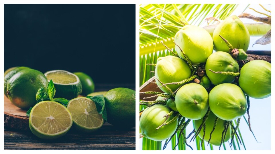 Lime and coconut are seasonal in nature, making them suitable summer cooler ingredients. (Freepik)
