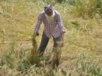 Already reeling from crop damage caused by recent hailstorms, Punjab farmers are staring at more losses as a fresh western disturbance is set to impact the state.