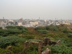 The working plan, accessed by HT, cites heavy fragmentation, lack of space and inadequate variety of food as key challenges facing Delhi forests. (Representational photo/HT Archive)