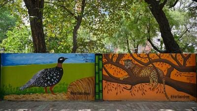 Nearly 90% work done; Gurugram sites include court walls, forest office and sanctuary as officials push awareness through visual storytelling (Parveen Kumar/HT) Nearly 90% work done; Gurugram sites include court walls, forest office and sanctuary as officials push awareness through visual storytelling (Parveen Kumar/HT)