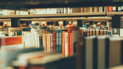 Six quick non-fiction reads that fit neatly into a flight, train ride, or quiet Sunday afternoon with tea today. (Pexels.com)