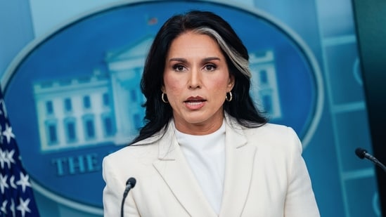 Following reports of a potential replacement for Director of National Intelligence Tulsi Gabbard by Pam Bondi, President Trump has reaffirmed his support for Gabbard (Bloomberg File Photo)