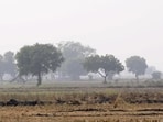 To be held on a daily basis, these camps will be set up across 14 villages in Jewar tehsil to facilitate the distribution of compensation related to nearly 1,838 hectares of acquired and adjudicated land under phase 2 and phase 3 of the airport project, officials said. (HT Archive)