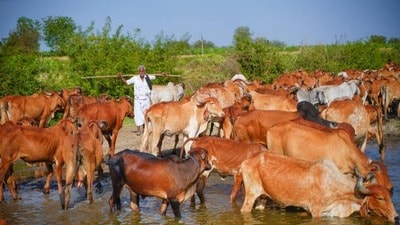 ప్రతీకాత్మక చిత్రం ప్రతీకాత్మక చిత్రం