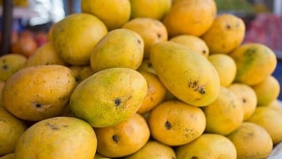 కల్తీ మామిడి కల్తీ మామిడి