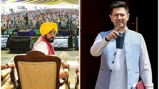 L: Punjab CM and AAP leader Bhagwant Mann | R: AAP Rajya Sabha MP Raghav Chadha (ANI photos)