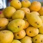 కల్తీ మామిడి