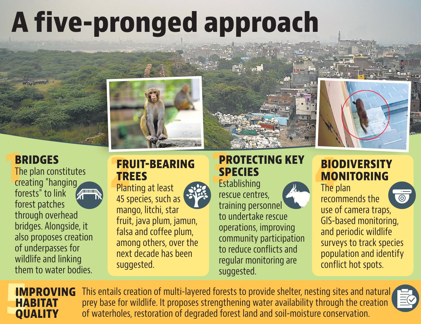 A five-pronged approach A five-pronged approach