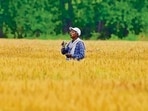 Helpline and advisories issued as dry conditions heighten fire risk during harvest. (Gurpreet Singh)