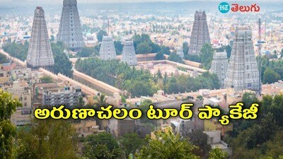 <p>ఈ ప్యాకేజీలో వెళ్లే వారికి ఒక్కొక్కరికీ.. పెద్దవాళ్లయితే రూ. 8000, పిల్లలైతే రూ. 6400చెల్లించాల్సి ఉంటుంది. ఈ ప్యాకేజీని పొందేందుకు తెలంగాణ టూరిజం అధికారిక వెబ్‌సైట్ <a href="https://tourism.telangana.gov.in/home" target="_blank">https://tourism.telangana.gov.in/ </a>లోకి వెళ్లి టికెట్లు బుకింగ్ చేసుకోవాలి. </p> 