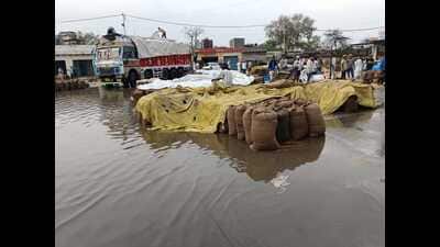 Waterlogged open area with sacks of wheat lying in the open in Kosi Kalan. (HT)