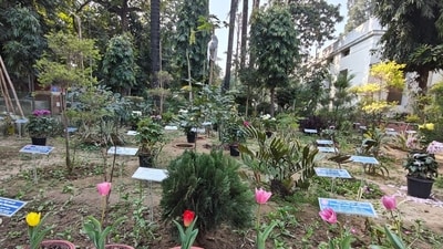 The Carbon Garden is located at the Botany Department in North Campus. The Carbon Garden is located at the Botany Department in North Campus.