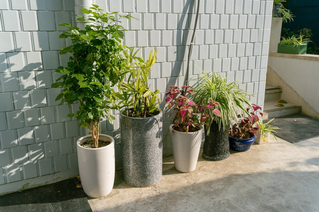 Plants can be your best investment when it comes to decor for your house. (Unsplash) Plants can be your best investment when it comes to decor for your house. (Unsplash)
