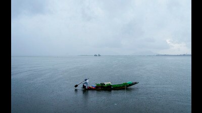 A farmer rows a boat with plant saplings amid rain, at Dal Lake in Srinagar, on Friday. (PTI)