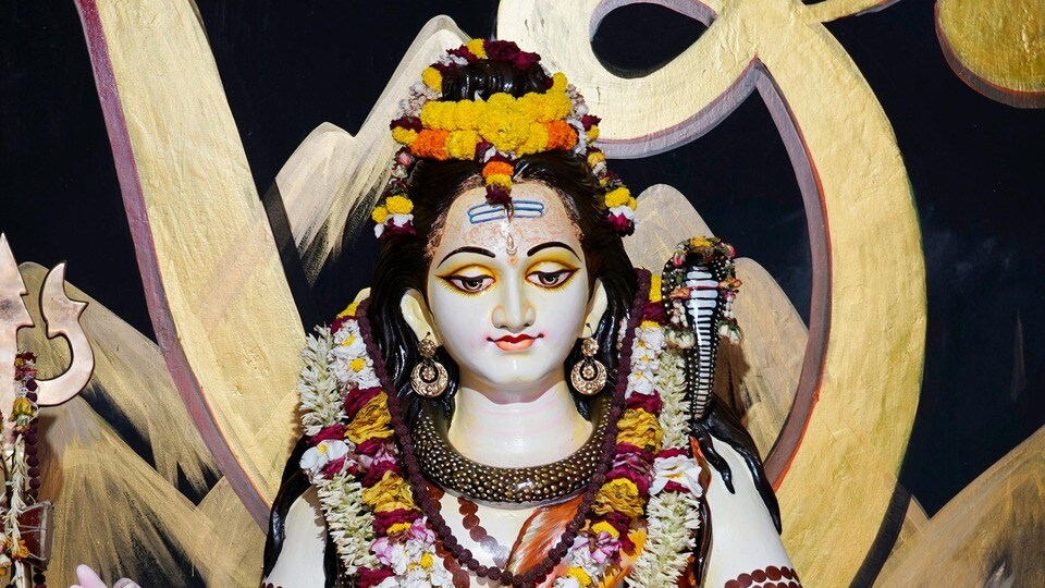 নীল ষষ্ঠী ২০২৬ পুজো