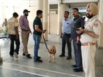 A search team along with a dog squad conducting a search operation in the Bathinda court complex on Monday. (Sanjeev Kumar/HT)